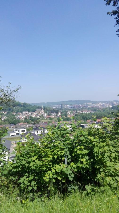 Ferienwohnung Niklas Völklingen Kültér fotó